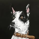 ellie.balidog profile picture