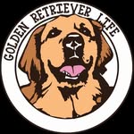 elliegoldenlife