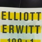 elliott_erwitt_photoart profile picture