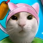 elpapupollaxd profile picture