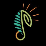 elparad.official profile picture