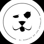 elparaisoanimaloficial profile picture