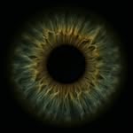 elseb02 profile picture