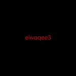 elwaqee3 profile picture
