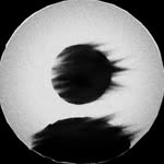 em.r4l profile picture
