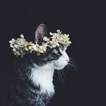 em_jackson_ily profile picture