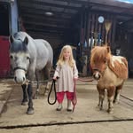 emelia_dottie_and_percy profile picture