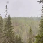 emil__winter_ profile picture