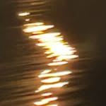 emily.onizuka profile picture