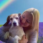 emilythebeagle profile picture