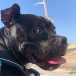 emma.marquez13 profile picture