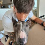 emmamasok profile picture