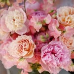 emmarosefloral profile picture