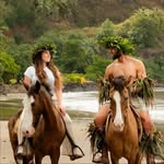 en.joytravel profile picture