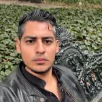 engel_gsjsj profile picture