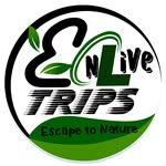 enlive.trip profile picture
