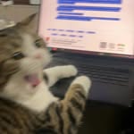 enricosakapratamaa profile picture