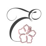entourageswimwear profile picture
