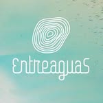 entreaguas_wearableart profile picture