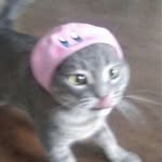 enyleelee profile picture