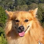 epicmillietime profile picture