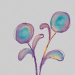 equipoentrevinculos profile picture