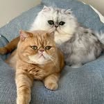 eric_and_ollie_ profile picture