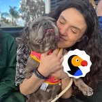 erica_thedodo profile picture