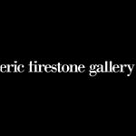 ericfirestonegallery profile picture