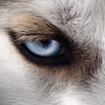 ericgabrielxx profile picture