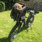 erideradventures profile picture