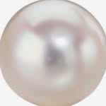 erikaevdb profile picture