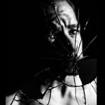 erikeverhardphoto profile picture