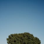 erik_stackpole_undehn profile picture