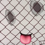 erikvonfrankenberg profile picture