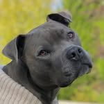 ernestpwigglesworth profile picture