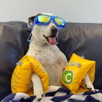 ernieandberny profile picture