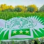 errachdiabderrazzak profile picture