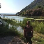 ertekin.tezcan profile picture