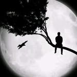 esam.ja.jordan profile picture