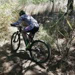 esaumtb profile picture
