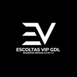 escoltas_vipgdl profile picture