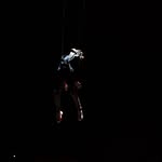 escomoecity profile picture