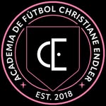escuelastianeendler profile picture