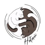 espaciohatani profile picture