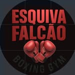 esquivafalcaoboxinggym profile picture