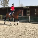 estebancornejo_ profile picture