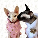 estelle_and_eliza profile picture