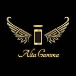 estuchesaltagamma profile picture