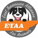 etaarescue profile picture